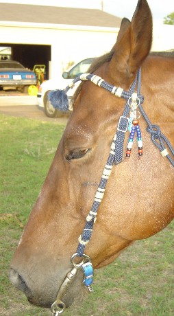 Bridle Charms: Beads for Steeds - Rhythm Beads for horses