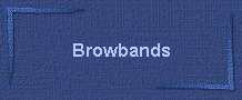 Browbands